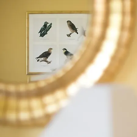 Hotel&café Daheim Aparthotel Masserberg