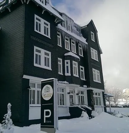 Aparthotel Hotel&café Daheim 4*